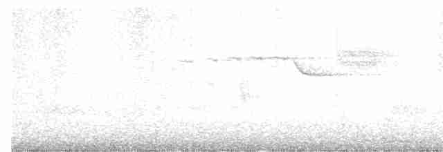 Paruline à gorge noire - ML619445446