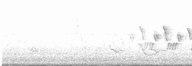 svartbrystparula - ML619445449