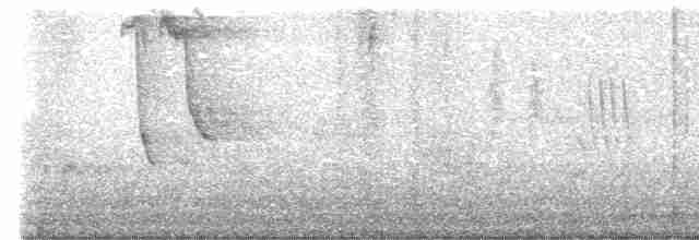 Common Yellowthroat - ML619445727