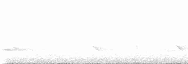 Fischadler (carolinensis) - ML619445890