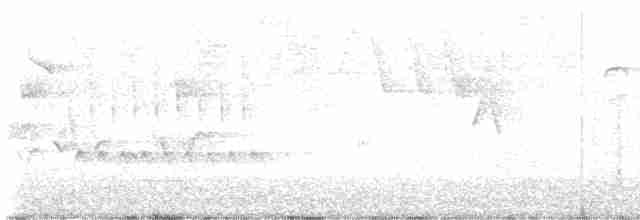 Chaparralgrasmücke - ML619446102