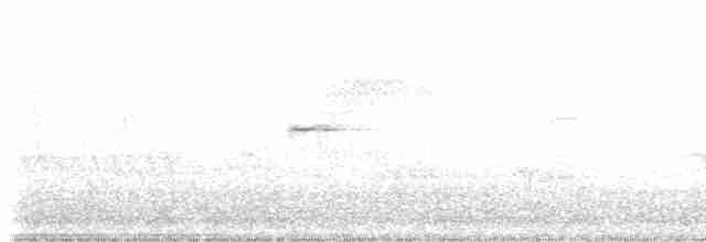 Chaparralgrasmücke - ML619446180