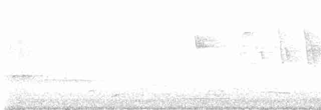 Малая вильсония - ML619446507