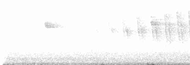 Малая вильсония - ML619446508