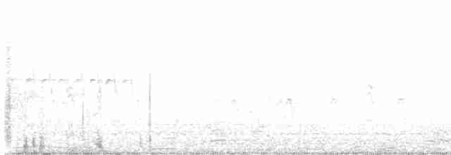 Шишкар ялиновий - ML619446628