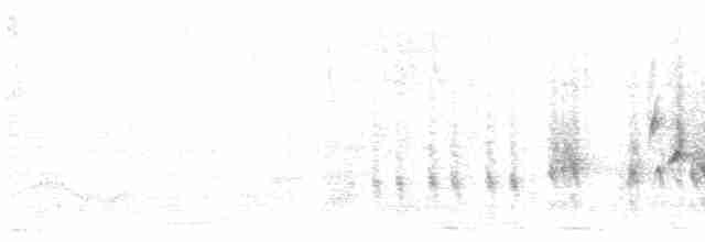 Домовый крапивник (grenadensis) - ML619446779