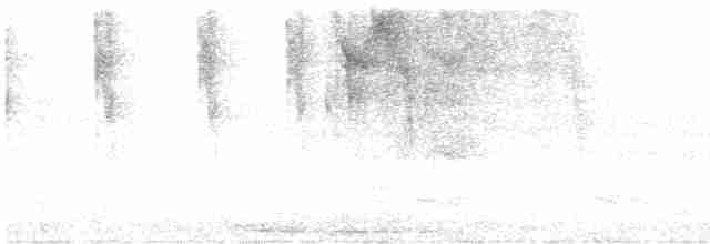 holub grenadský - ML619446784