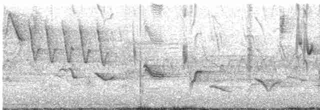 Oriole des vergers - ML619446936