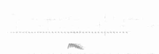 Yucatánnachtschwalbe - ML619447122