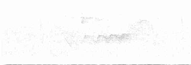 Cerulean Warbler - ML619447370