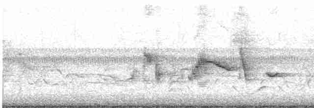 Oriole des vergers - ML619447379