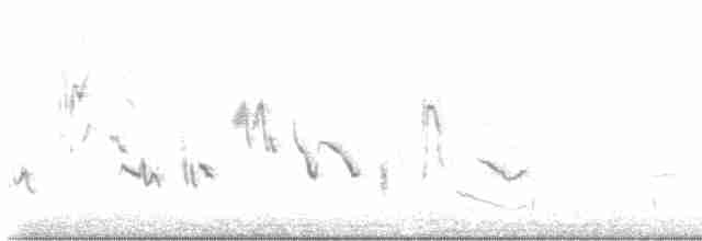 Oriole des vergers - ML619447537