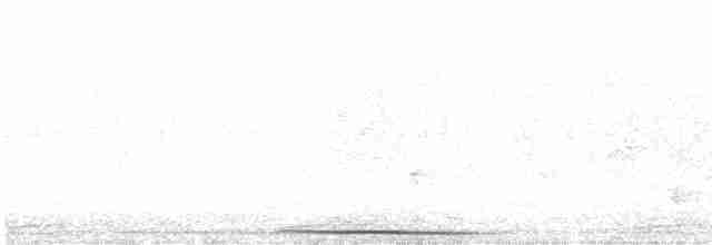 holub grenadský - ML619447907