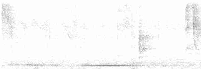Хохлатый колибри (emigrans) - ML619447909