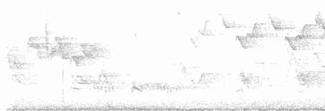 Blackpoll Warbler - ML619448271
