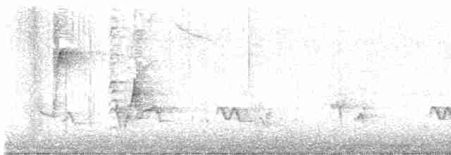Пересмішник сірий - ML619448341