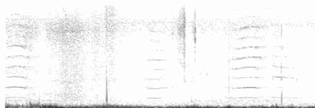 Common Gallinule - ML619448398