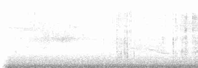 Дрізд-короткодзьоб плямистоволий - ML619448437