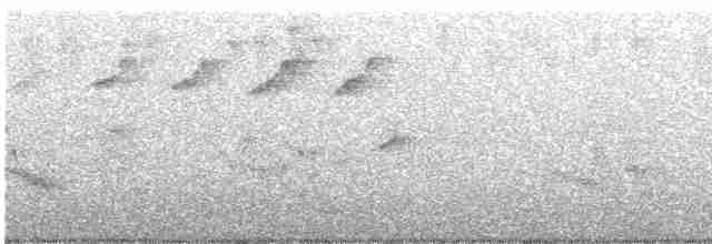 Дрізд-короткодзьоб бурий - ML619448962