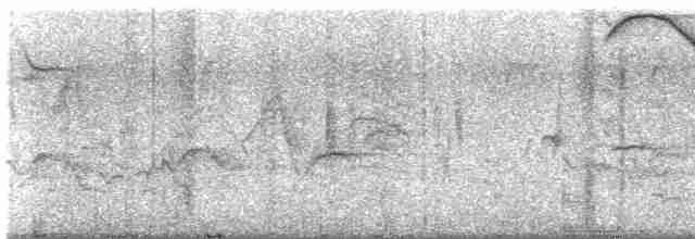 Oriole des vergers - ML619449441