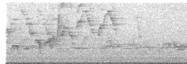 Дрізд-короткодзьоб Cвенсона - ML619449502