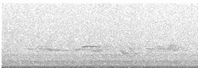 Дрізд-короткодзьоб Cвенсона - ML619449505