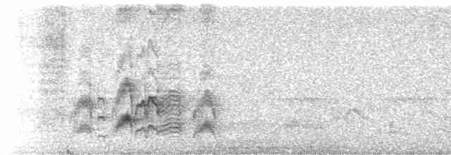 Серогрудый тиранн - ML619449644