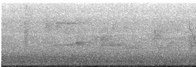 セスジツバメ - ML619450291