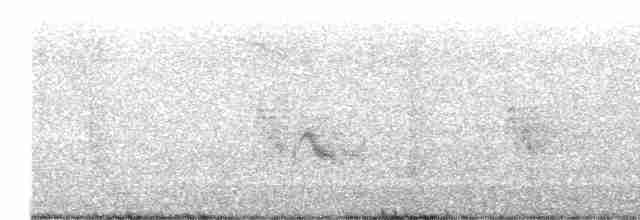 Дрізд-короткодзьоб малий - ML619450308
