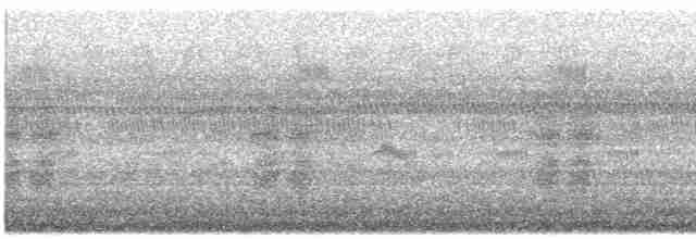 Дрізд-короткодзьоб малий - ML619450421