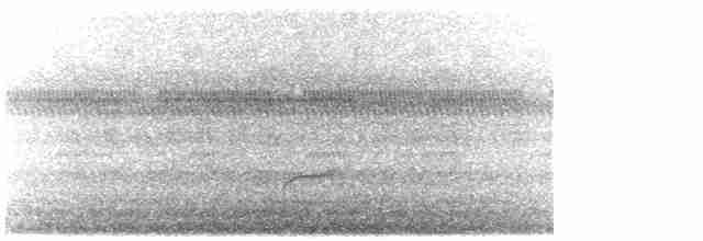 Дрізд-короткодзьоб Cвенсона - ML619450443