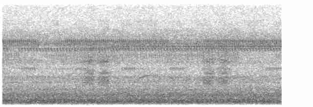 Дрізд-короткодзьоб Cвенсона - ML619450444