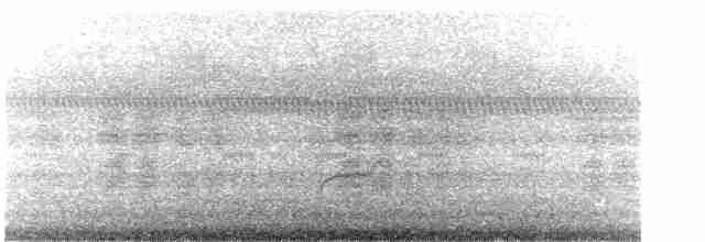 Дрізд-короткодзьоб Cвенсона - ML619450446