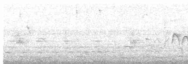 svarttoppmaurvarsler - ML619451082