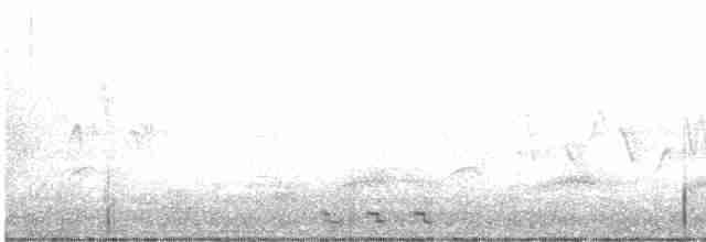 קוקיה שחורת-מקור - ML619451128