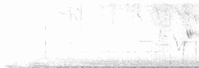 svartbrystparula - ML619451349