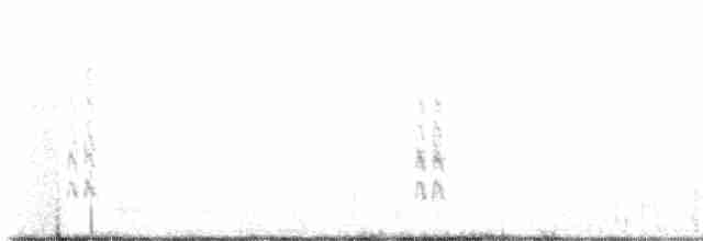 Кривоклювый пересмешник - ML619451803