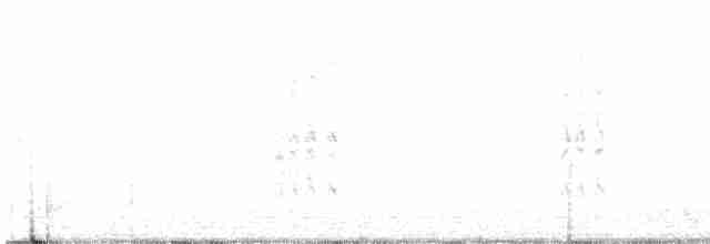 Кривоклювый пересмешник - ML619451804
