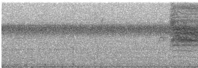 drozdec černohlavý - ML619451921