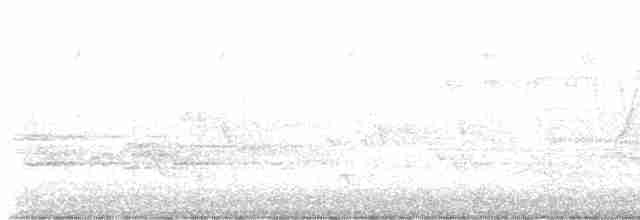 Reinita Protonotaria - ML619452205