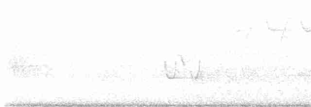 lesňáček modropláštíkový - ML619452394