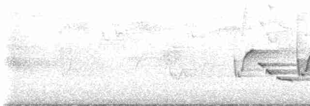Каролинский крапивник - ML619454192