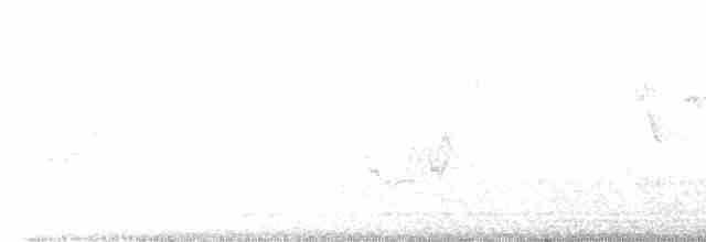 lesňáček modrokřídlý - ML619454860