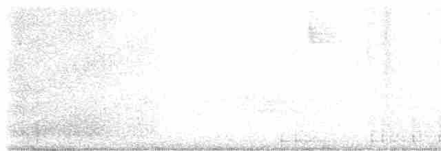 Дрізд-короткодзьоб плямистоволий - ML619454899