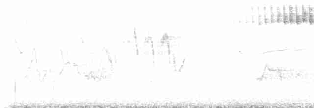 svarthetteparula - ML619455815