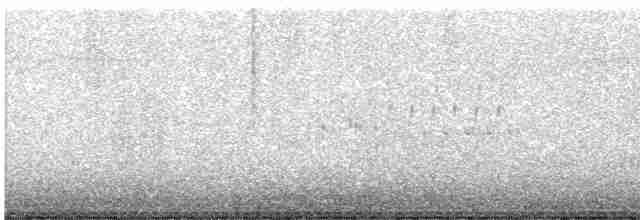 Bataklık Çıtkuşu - ML619455905