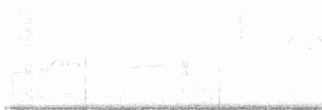 Каролинский поползень (carolinensis) - ML619456553
