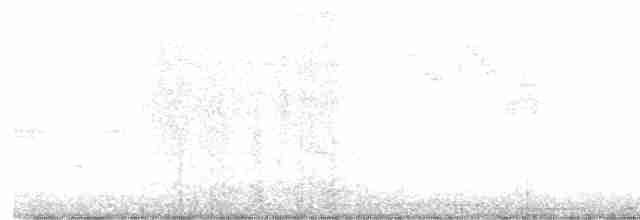 lesňáček černohlavý - ML619456556