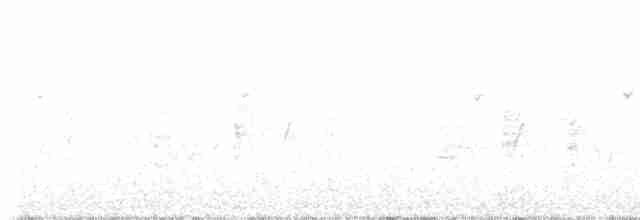 Western Olivaceous Warbler - ML619456620