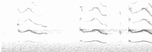 Пірникоза рябодзьоба - ML619456707